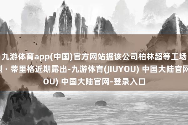九游体育app(中国)官方网站据该公司柏林超等工场厂长安德烈 · 蒂里格近期露出-九游体育(JIUYOU) 中国大陆官网-登录入口