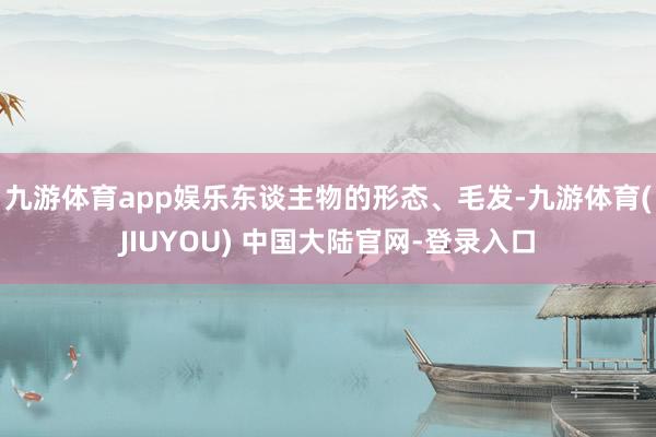 九游体育app娱乐东谈主物的形态、毛发-九游体育(JIUYOU) 中国大陆官网-登录入口